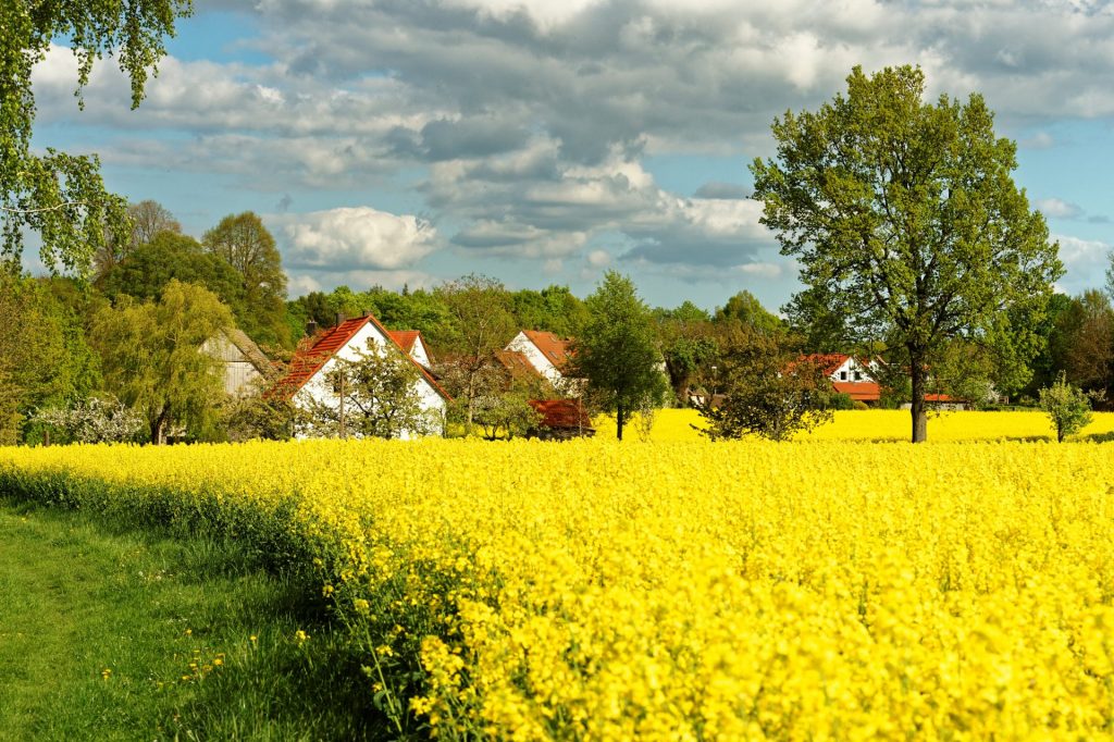 Ortsteil Forstleithen