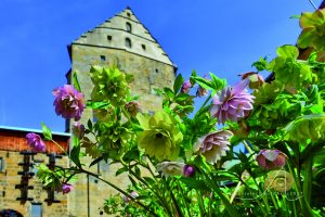 Lenzrosen- und Ostermarkt