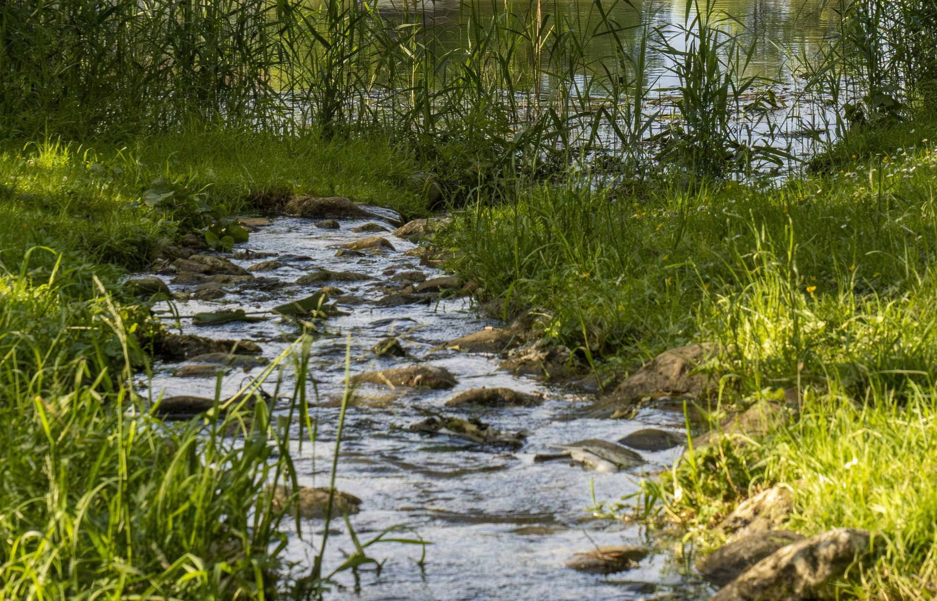 Niedrigwassersituation – Wasserentnahmen aus Bächen, Gräben, Seen und Teichen